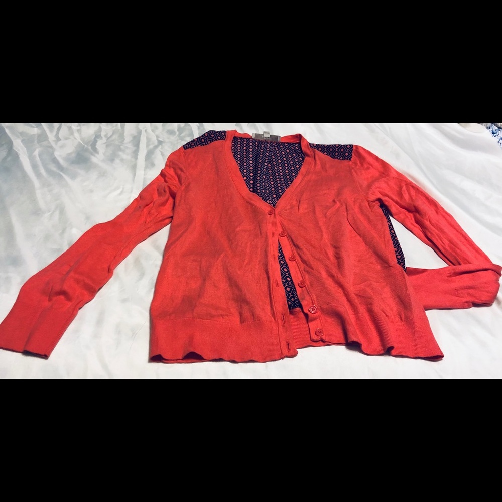 Ann Taylor Loft Sweater: Size Large